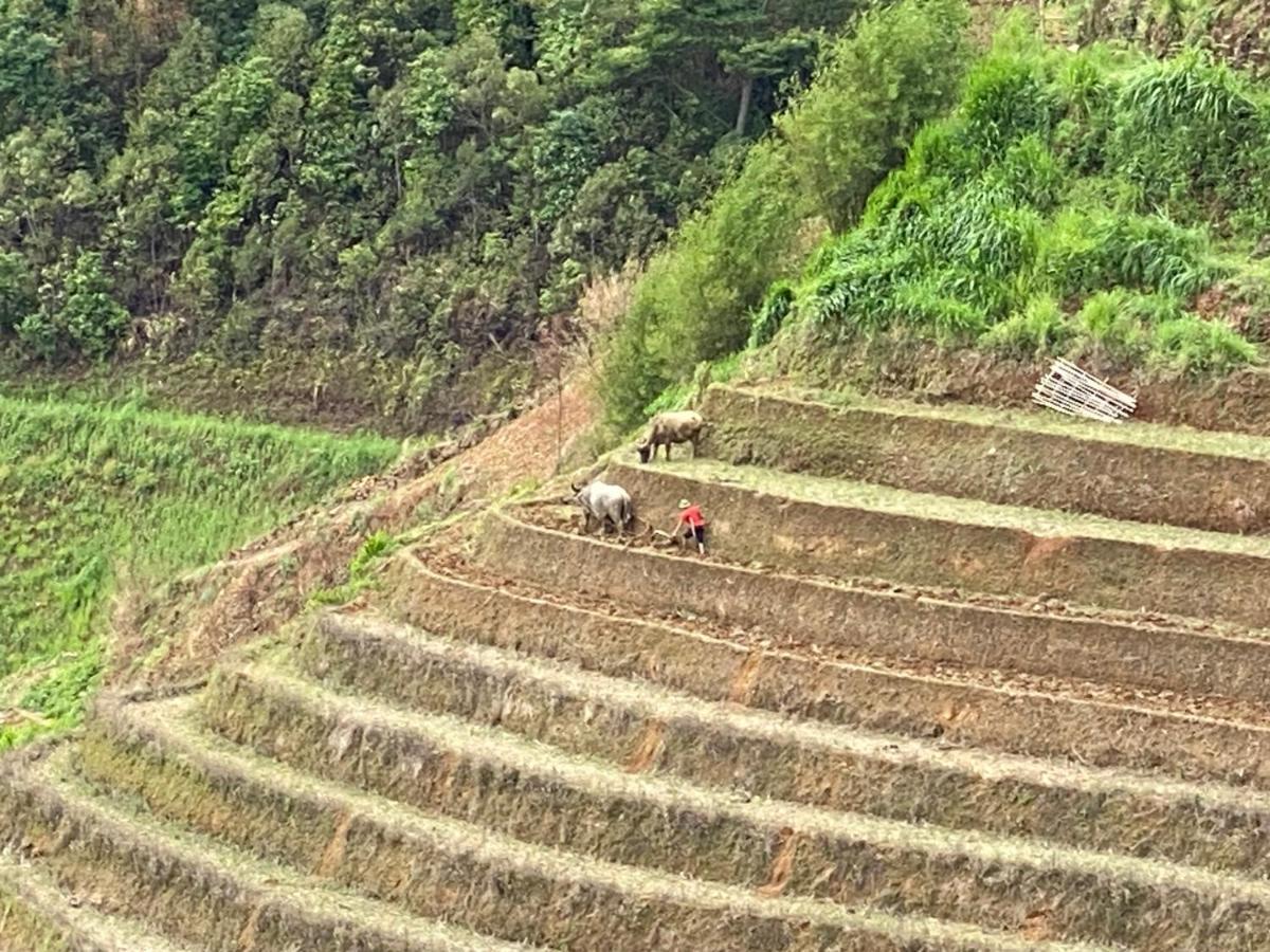 Mu Cang Chai Homestay & Trekking 외부 사진
