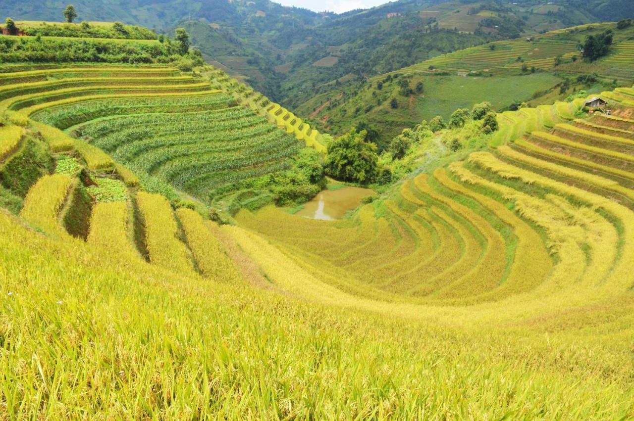 Mu Cang Chai Homestay & Trekking 외부 사진