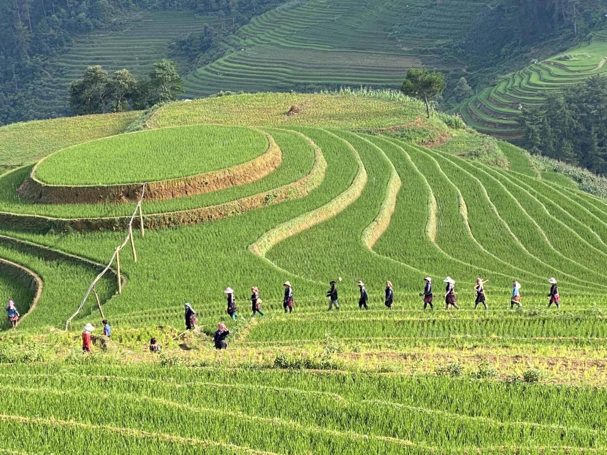 Mu Cang Chai Homestay & Trekking 외부 사진