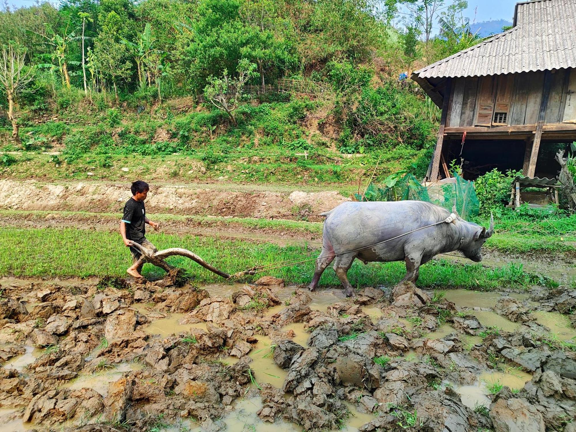 Mu Cang Chai Homestay & Trekking 외부 사진