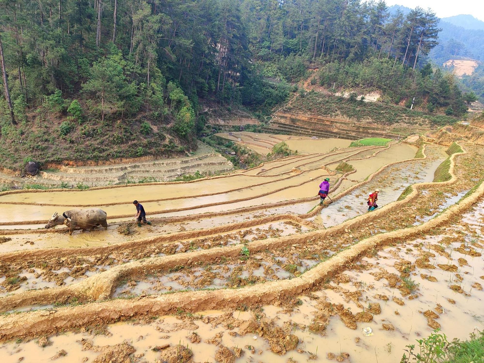 Mu Cang Chai Homestay & Trekking 외부 사진