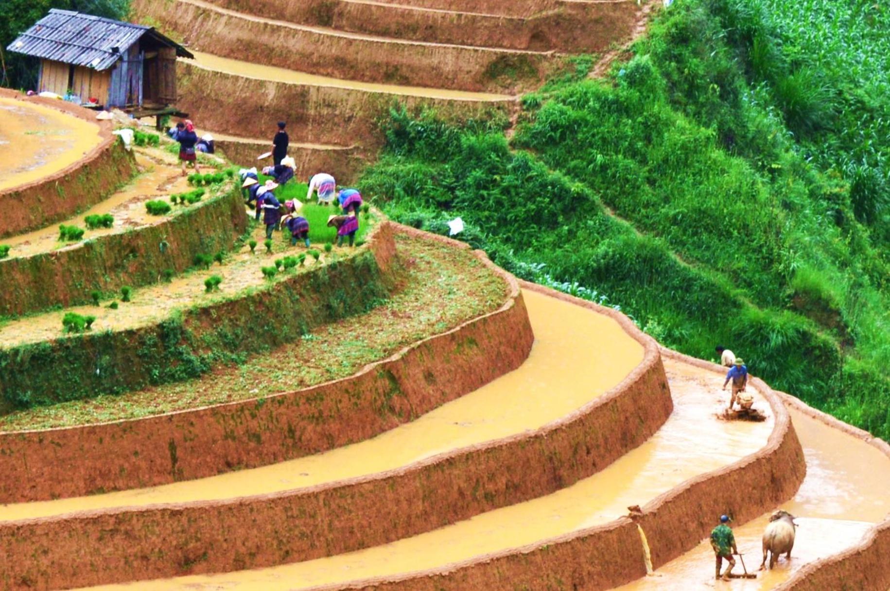 Mu Cang Chai Homestay & Trekking 외부 사진