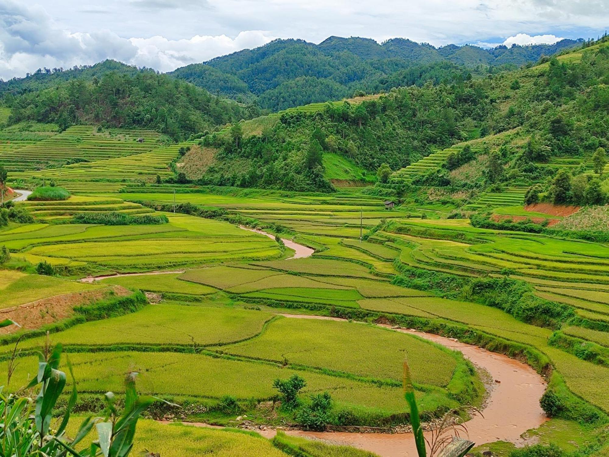 Mu Cang Chai Homestay & Trekking 외부 사진